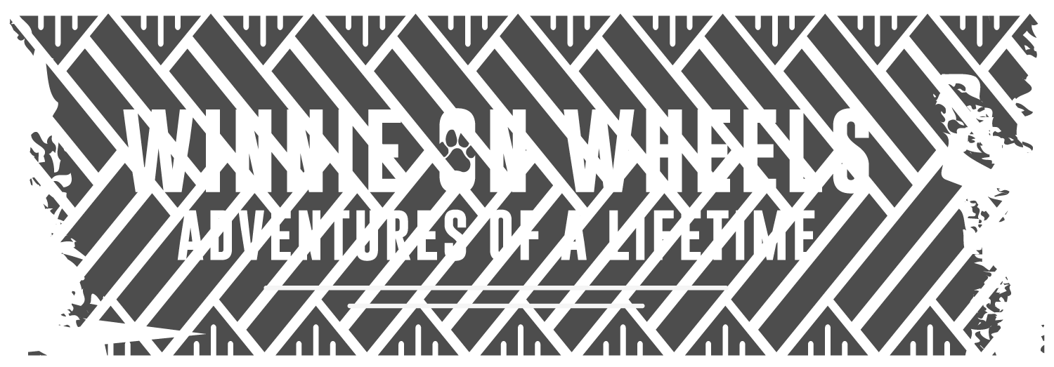 Winnie on wheels – Adventures of a lifetime